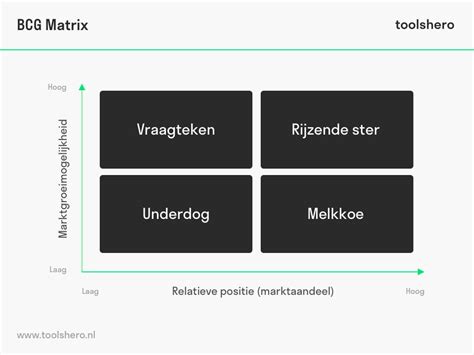 bcg matrix maken